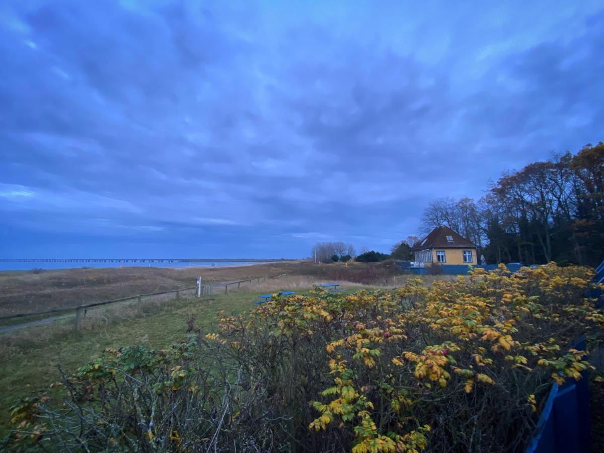 Skaerven Beachfront Apartments And Cottage Nyborg Luaran gambar
