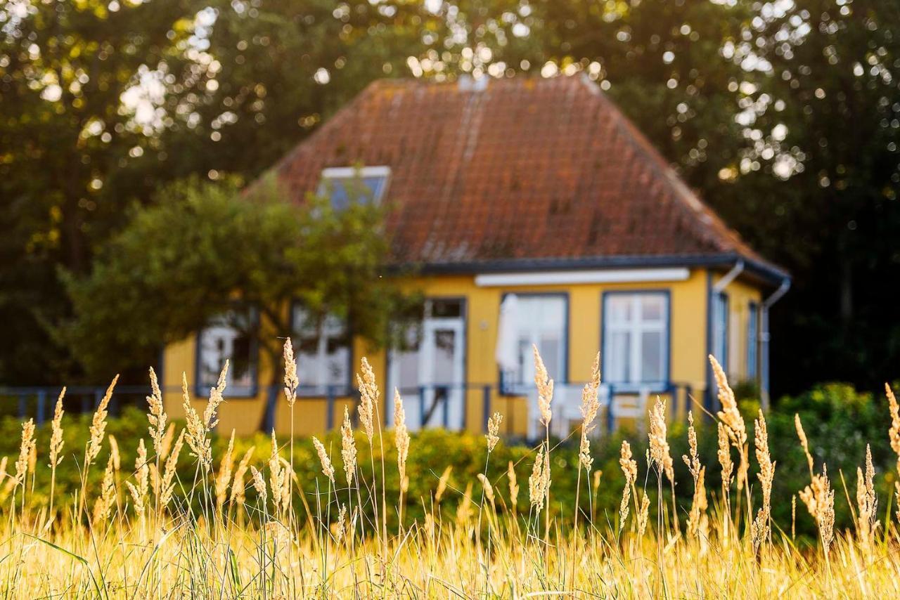 Skaerven Beachfront Apartments And Cottage Nyborg Luaran gambar